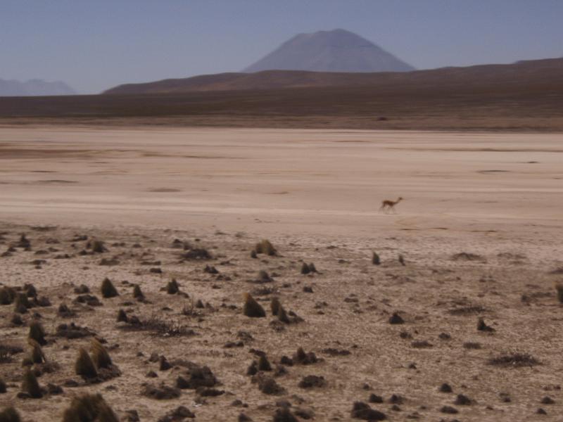 Bus to La Paz (2).JPG
